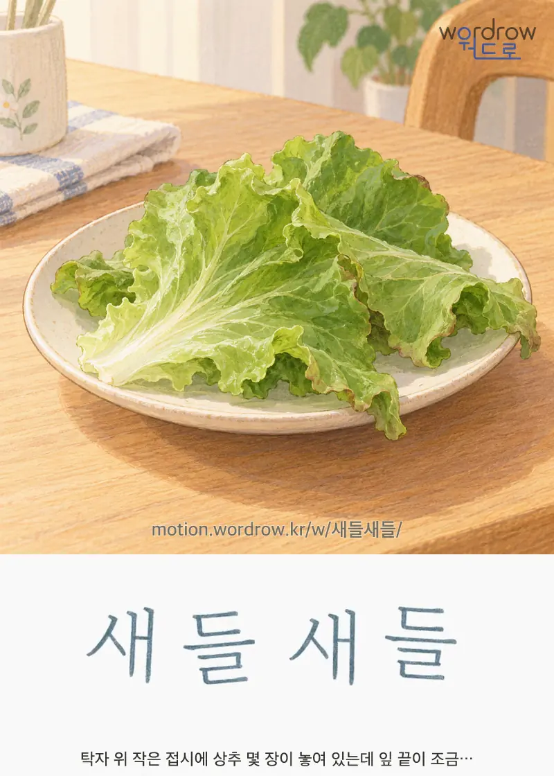 새들새들 글자 움직임의 완성 장면